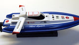 17" 1:25 Electric Mini Tracer Racing RC Boat BLUE