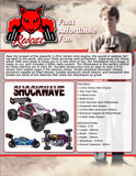 RedCat Racing, RC Buggy, Nitro Powered, Features